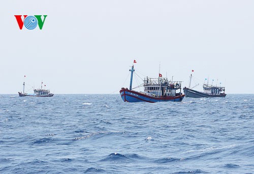 ชาวประมงภาคกลางเวียดนามมั่นใจออกทะเลจับปลาโดยไม่สนใจต่อการขัดขวางของเรือจีน - ảnh 5
