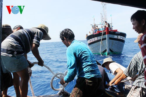 ชาวประมงภาคกลางเวียดนามมั่นใจออกทะเลจับปลาโดยไม่สนใจต่อการขัดขวางของเรือจีน - ảnh 6
