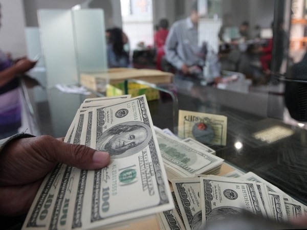 เงินสำรองระหว่างประเทศของอินโดนีเซียในเดือนพฤษภาคมเพิ่มขึ้น - ảnh 1