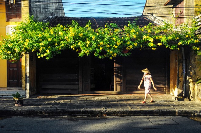 ภาพเมืองเก่าโฮยอานในแสงแดด - ảnh 11