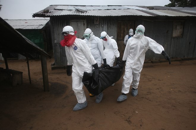 มีผู้เสียชีวิตจากเชื้ออีโบลาอย่างน้อย 1.350 คน - ảnh 1