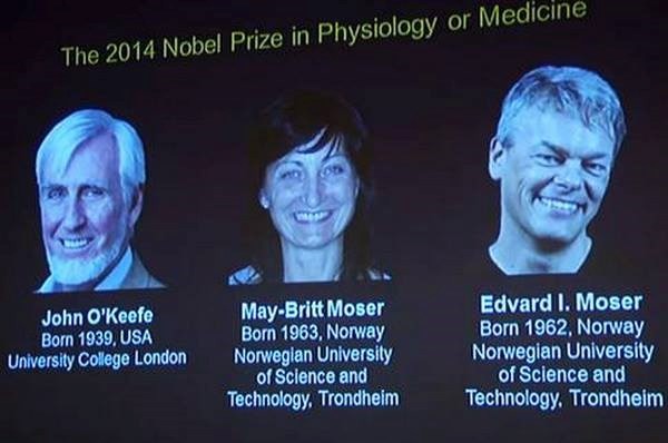 นักวิทยาศาสตร์ของสหรัฐและนอร์เวย์ 3 คนคว้ารางวัลโนเบลสาขาการแพทย์ ประจำปี 2014 - ảnh 1
