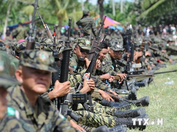 เวียดนามให้คำมั่นที่จะพยายามร่วมกับนานาประเทศในการปลดอาวุธ - ảnh 1