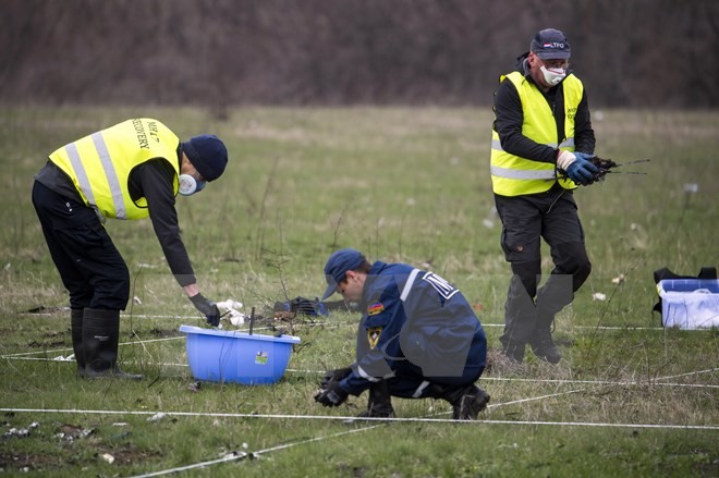 ศพสุดท้ายของผู้โดยสารเครื่องบินเอ็มเอช 17 ถูกส่งไปยังเนเธอร์แลนด์ - ảnh 1