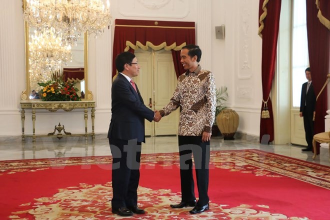 ประธานาธิบดีอินโดนีเซียแสดงความวิตกกังวลเกี่ยวกับการเคลื่อนไหวที่ซับซ้อนในทะเลตะวันออก - ảnh 1