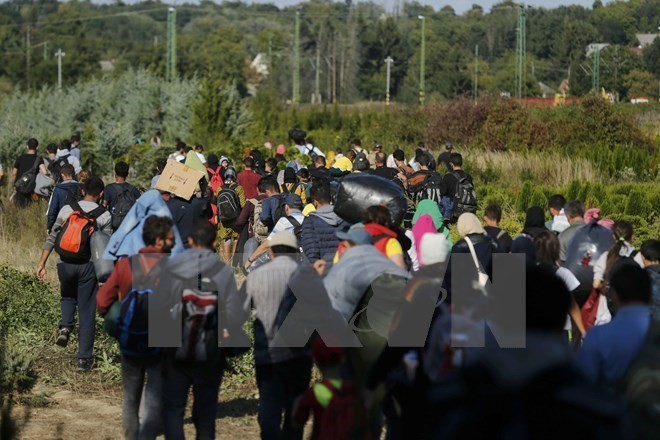 รัฐสภายุโรปเรียกร้องให้ประเทศสมาชิกอียูเพิ่มมาตรการจัดการวิกฤตผู้อพยพ - ảnh 1