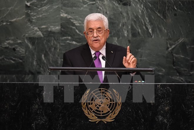 ประธานาธิบดีปาเลสไตน์เรียกร้องให้สหประชาชาติปกป้องชาวปาเลสไตน์ - ảnh 1