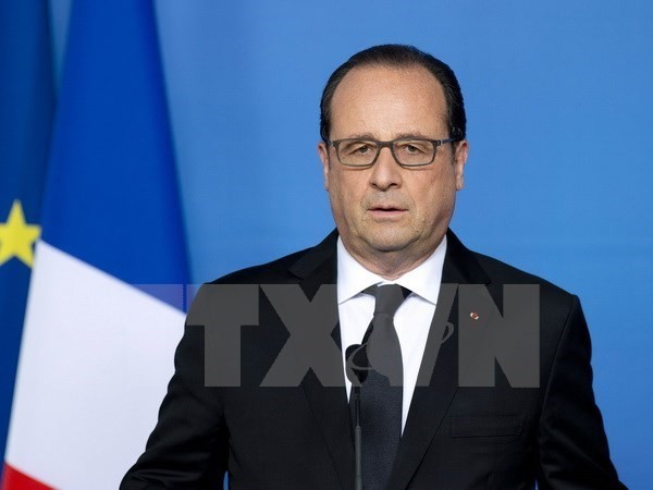 ฝรั่งเศสจะผลักดันยุทธศาสตร์การต่อต้านกลุ่มไอเอสในซีเรีย - ảnh 1