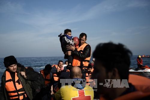 มีเด็กผู้ลี้ภัย 1 หมื่นคนสูญหายในยุโรป - ảnh 1
