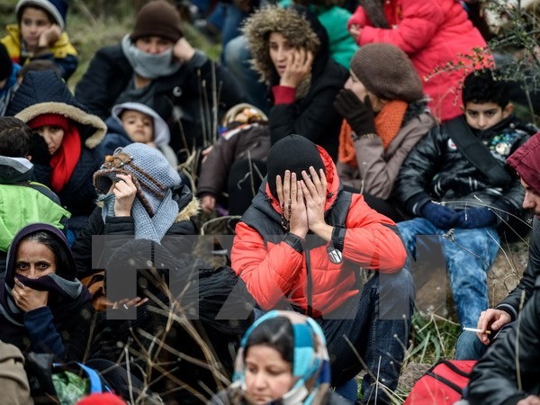 ประเทศยุโรปเรียกร้องให้ร่วมมือแก้ไขวิกฤตผู้อพยพและกลุ่มก่อการร้าย - ảnh 1