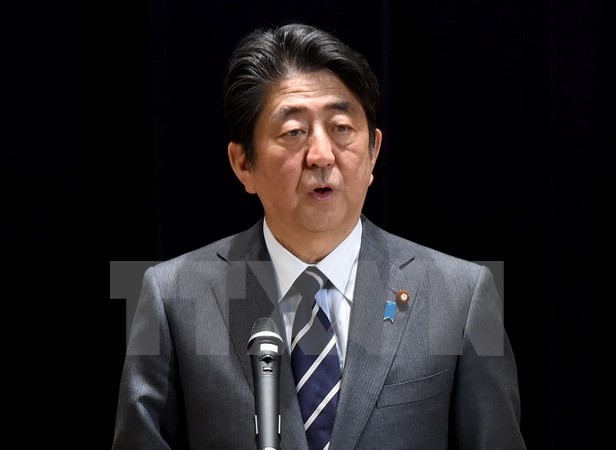 ญี่ปุ่นให้คำมั่นที่จะร่วมมือกับอาเซียนในการรักษาความสัมพันธ์ระหว่างประเทศที่เปิดเผยและเสรี - ảnh 1