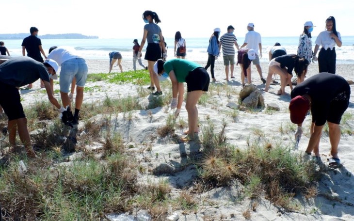 เยาวชนชาวเวียดนามโพ้นทะเลเข้าร่วมกิจกรรมทำความสะอาดเขตทะเลในจังหวัดกว๋างหงาย - ảnh 1