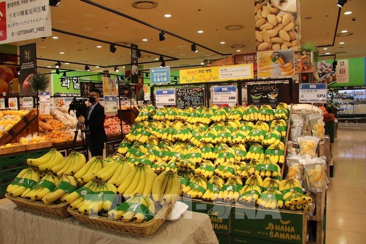กล้วย LOPANG BANANA ของเวียดนามถูกวางขายในลอตเต้ซุปเปอร์มาร์เก็ต - ảnh 1