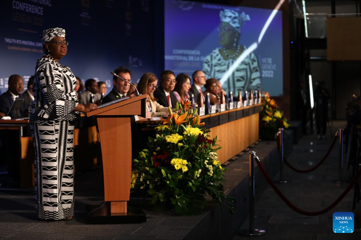 เปิดการประชุมรัฐมนตรีพาณิชย์ของ WTO ครั้งที่ 12 - ảnh 1